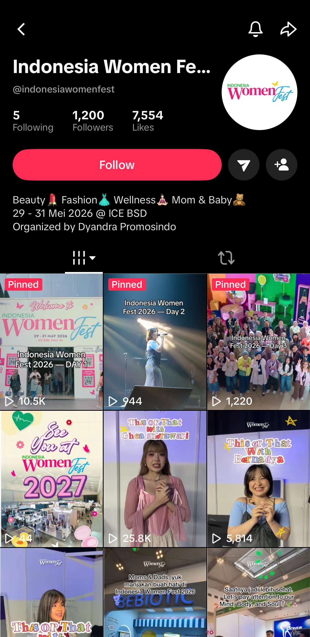 TikTok Profile